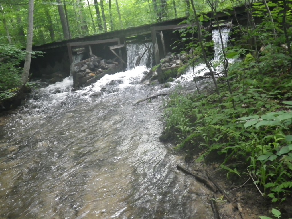 Shanty Creek - Pine Brook